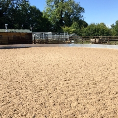 Grazinglands-15