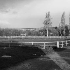 Grazinglands-17