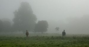 Grazinglands-1