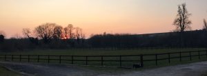 Grazinglands-16