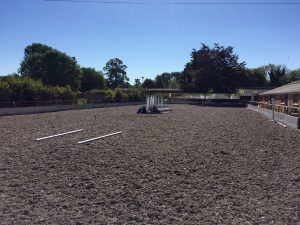 Grazinglands-18
