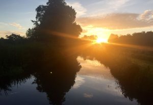 Grazinglands-2