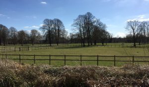 Grazinglands-5