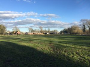 Grazinglands-6