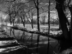 Grazinglands-9