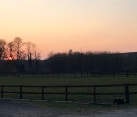 Grazinglands-16