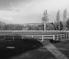 Grazinglands-17