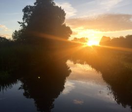 Grazinglands-2