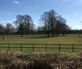 Grazinglands-5
